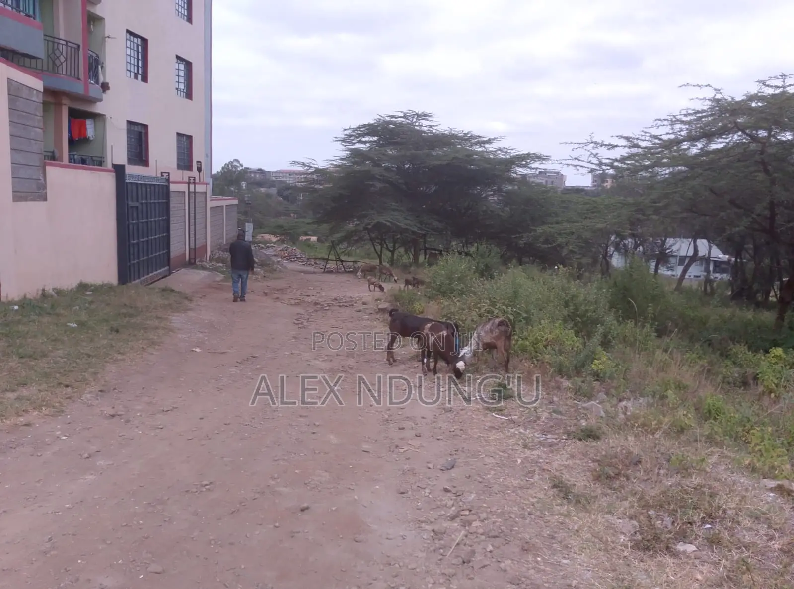 Residential Plot for Sale - Ongata Rongai in Maasai Lodge