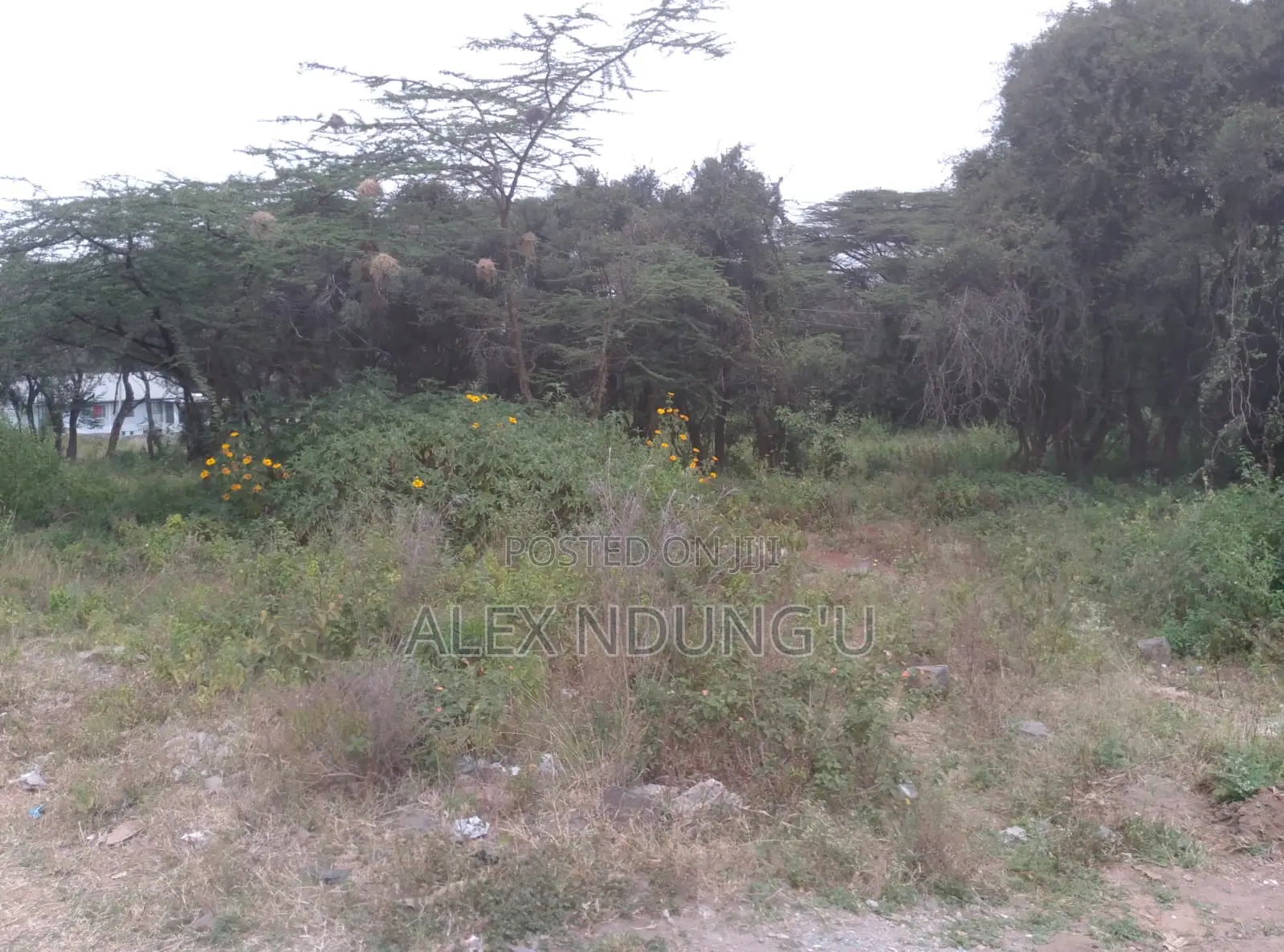 Residential Plot for Sale - Ongata Rongai in Maasai Lodge