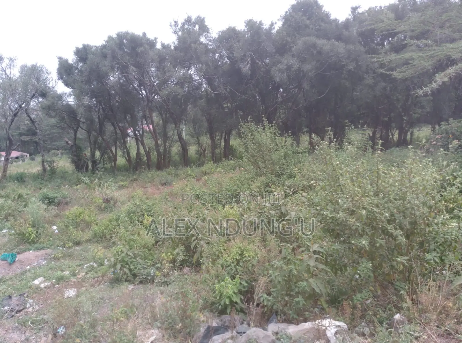 Residential Plot for Sale - Ongata Rongai in Maasai Lodge
