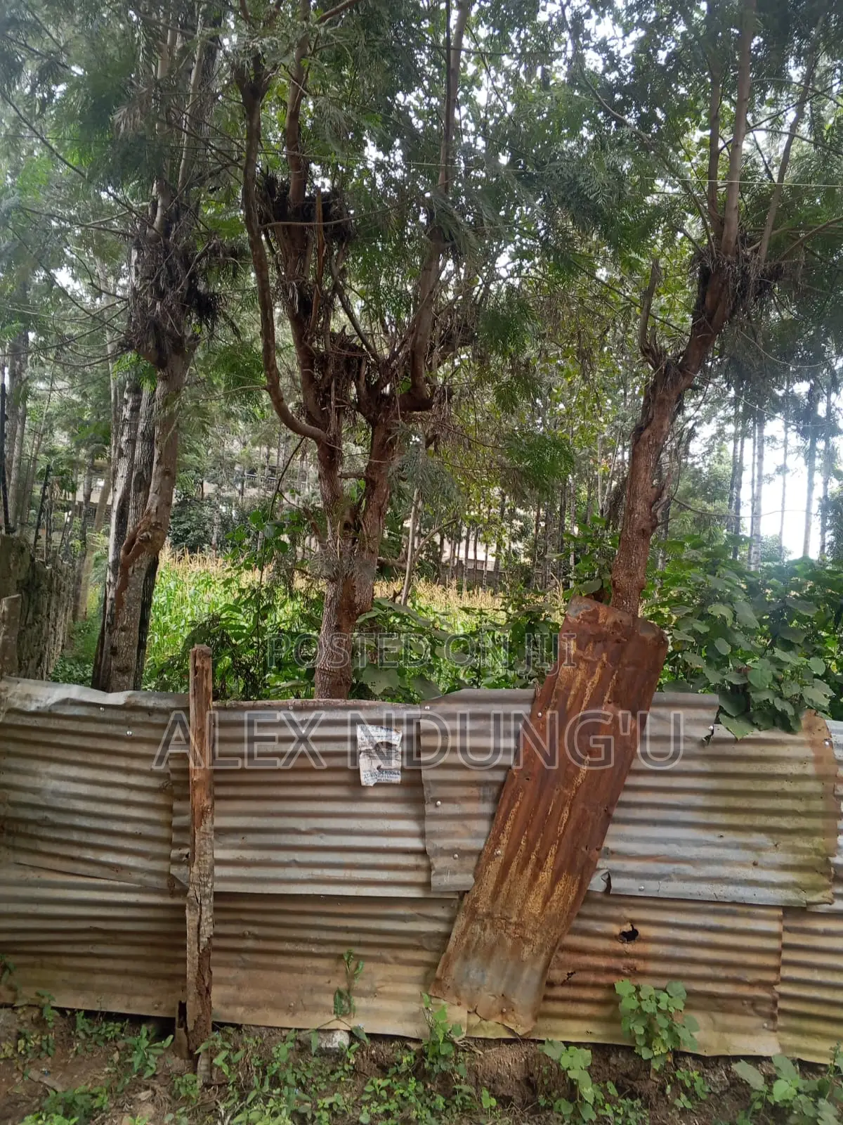 Residential Plot for Sale - Ongata Rongai in Maasai Lodge