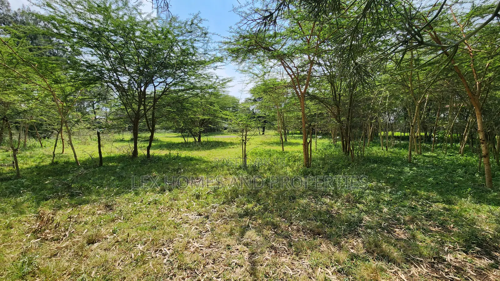 Nkoroi One Acre for Sale 17m in Nkoroi