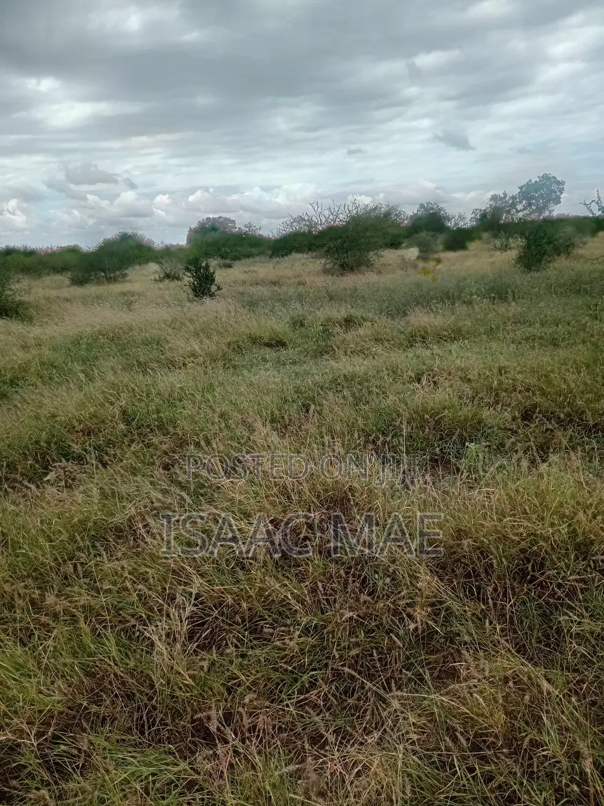 2 Acres for Sale at Malndi Baolala 600m From the Main Road to the Land in Jilore