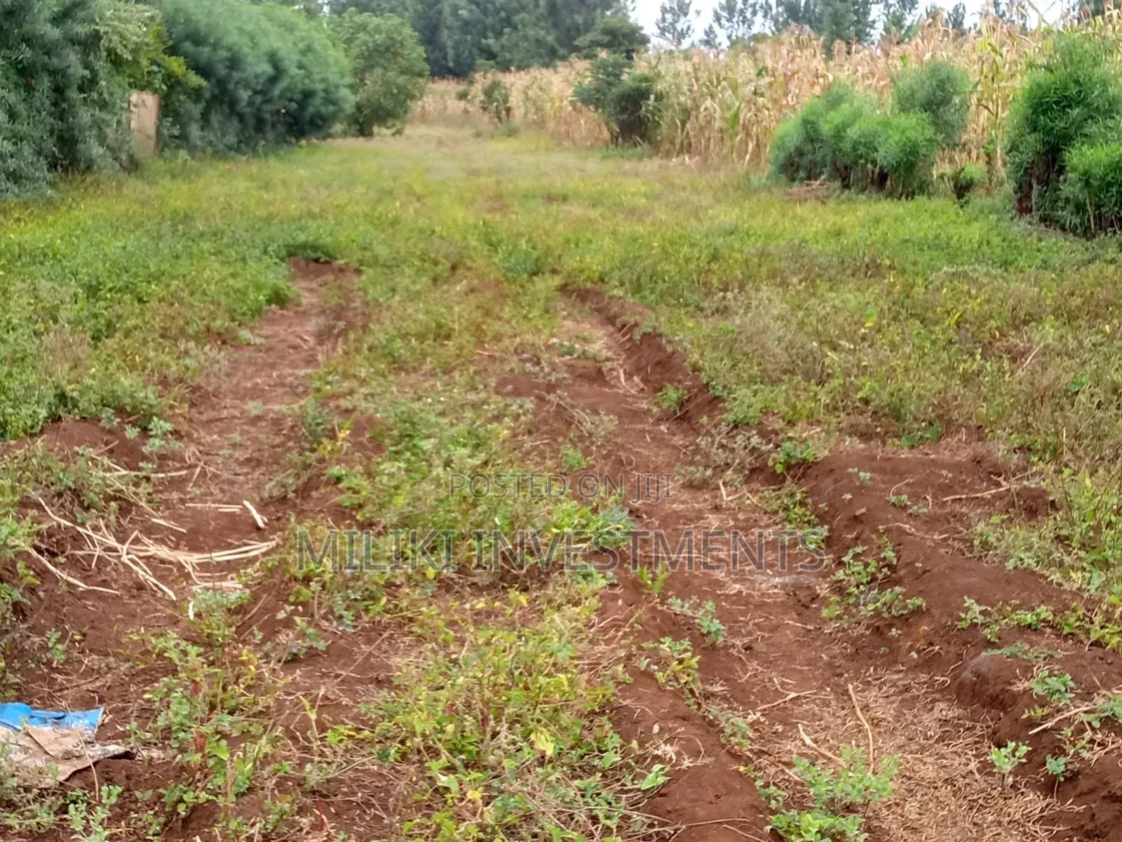 1/4 Acre Kagio Gitooini  in Kerugoya