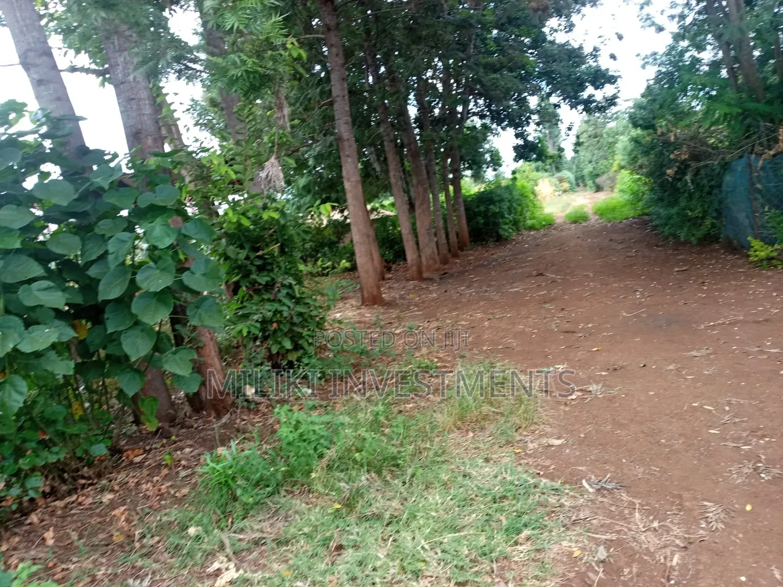 1/4 Acre Kagio Gitooini  in Kerugoya