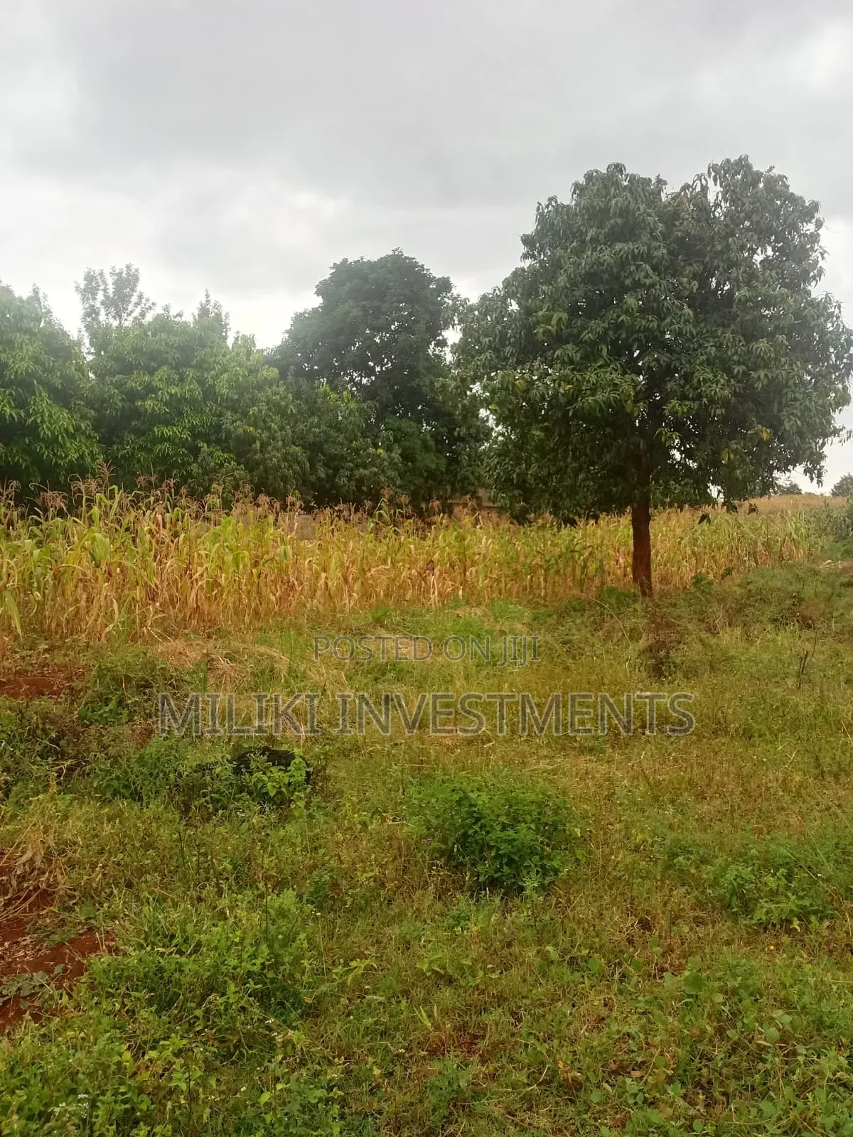 1/4 Acre Kagio Gitooini  in Kerugoya
