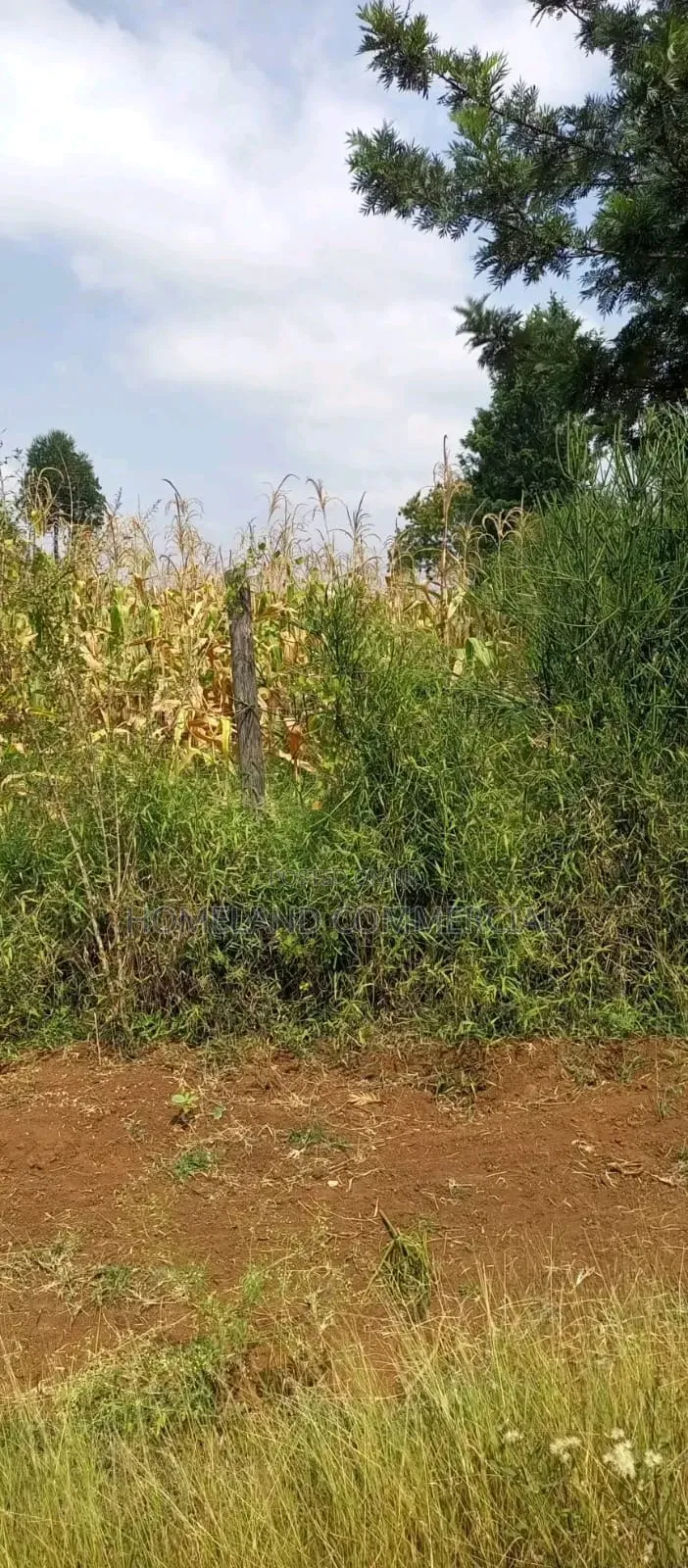 Prime 3 Acres for Sale in Kiserian. in Kiserian