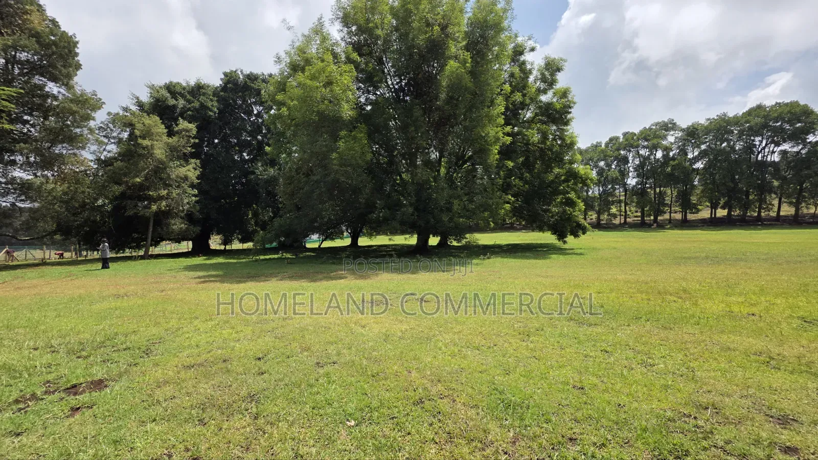 Land for Sale in Tigoni in Tigoni
