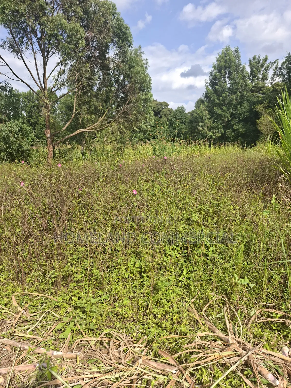 1/4 Land for Sale in Kabiria Mutweini Area in Kabiria