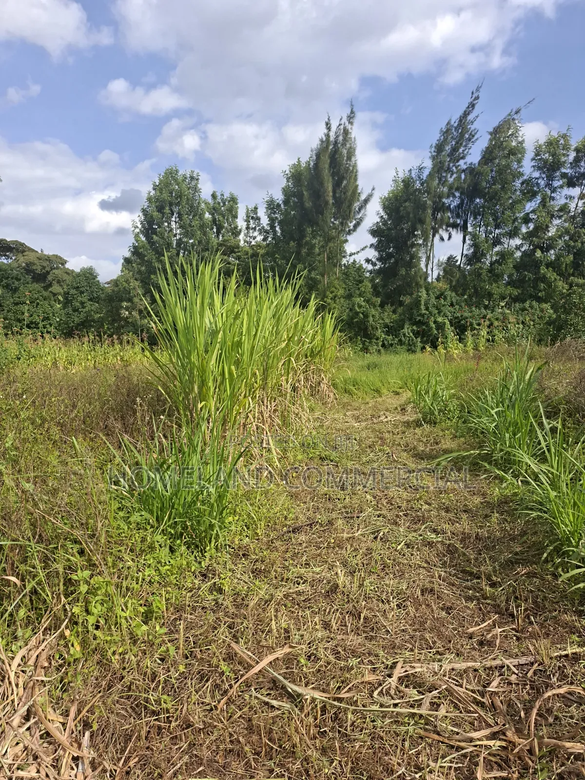 1/4 Land for Sale in Kabiria Mutweini Area in Kabiria