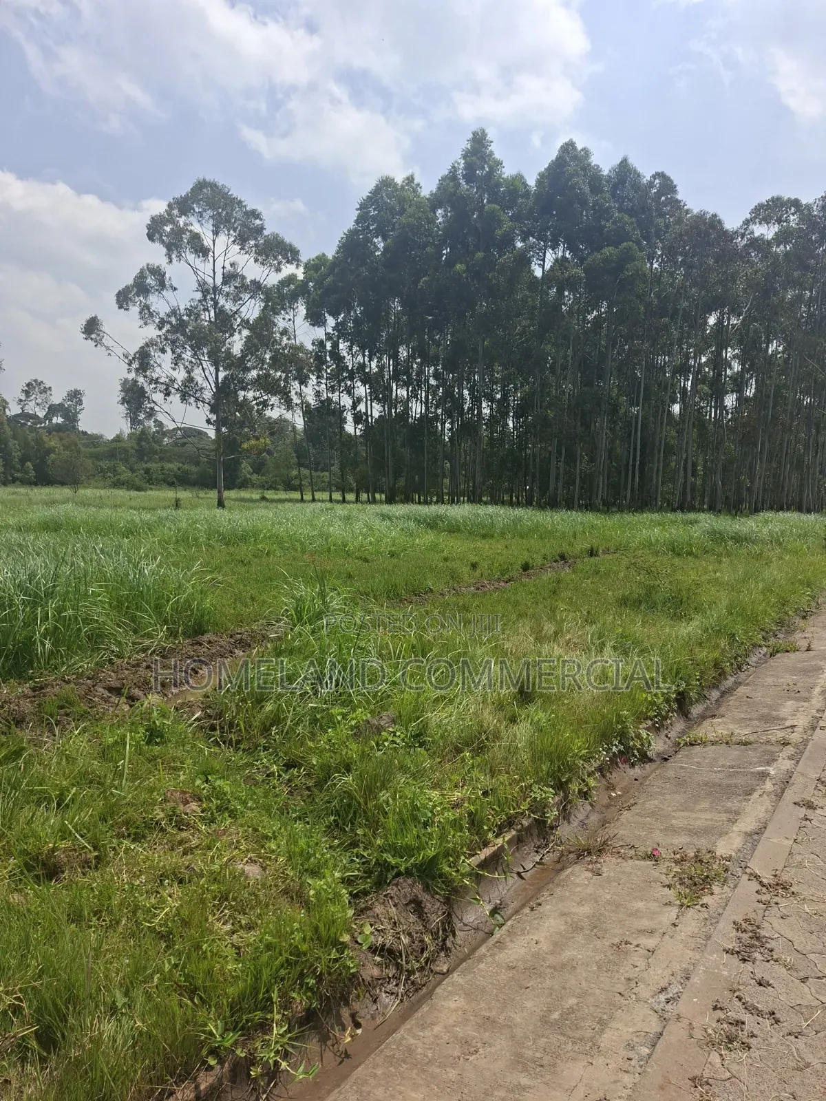 Land for Sale in Karen in Karen C