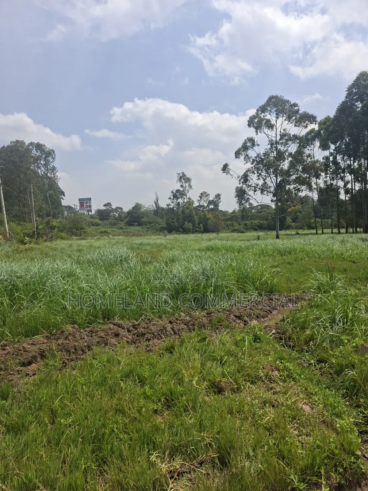 Land for Sale in Karen in Karen C