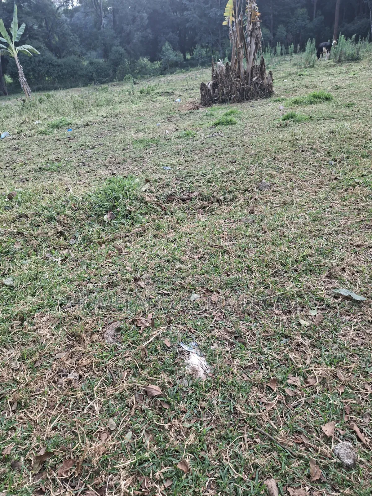 4 Acres Land For Lease In Karen Langata Southern Road. in Karen C