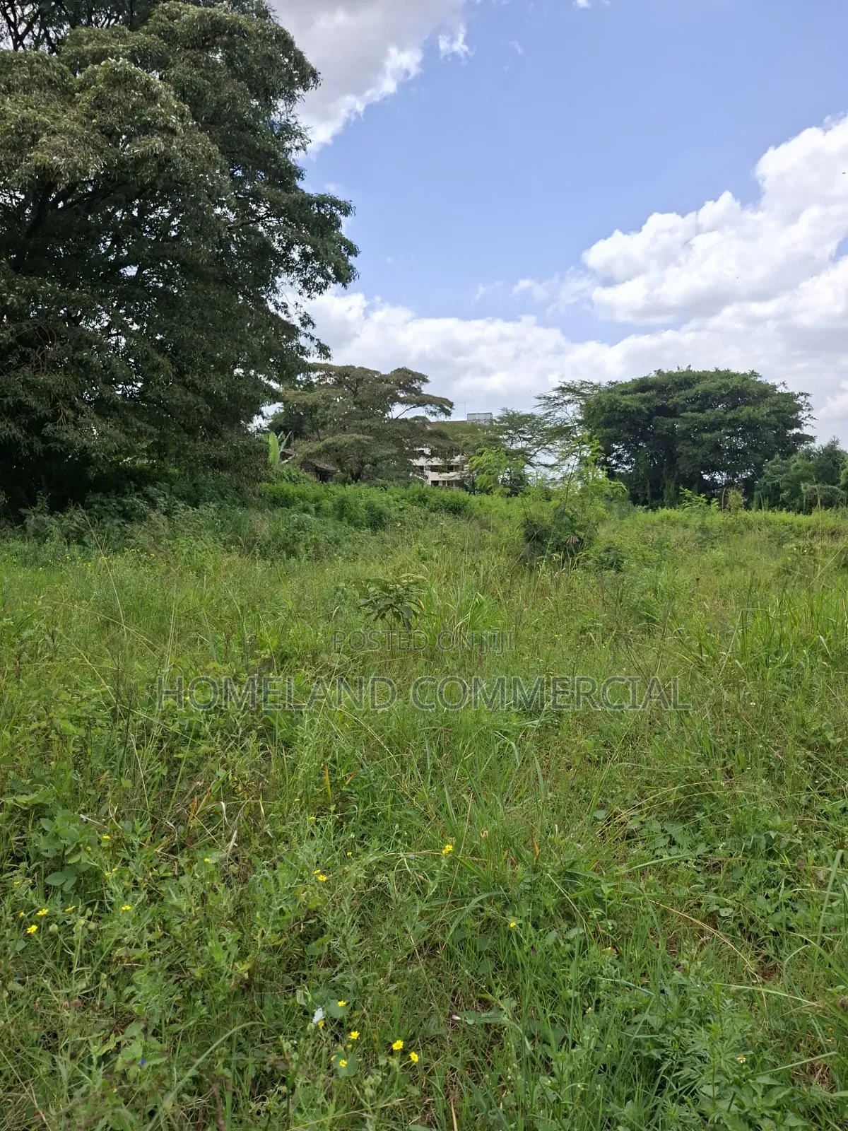 4 Acres Land For Lease In Karen Langata Southern Road. in Karen C