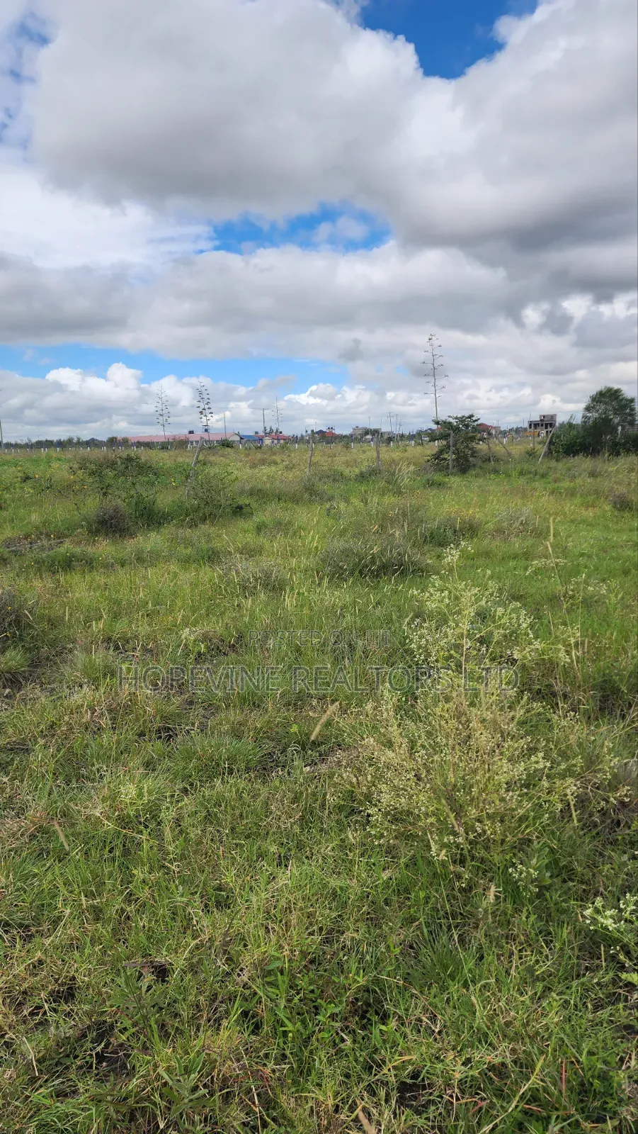 Katani Plots for Sale in Katani
