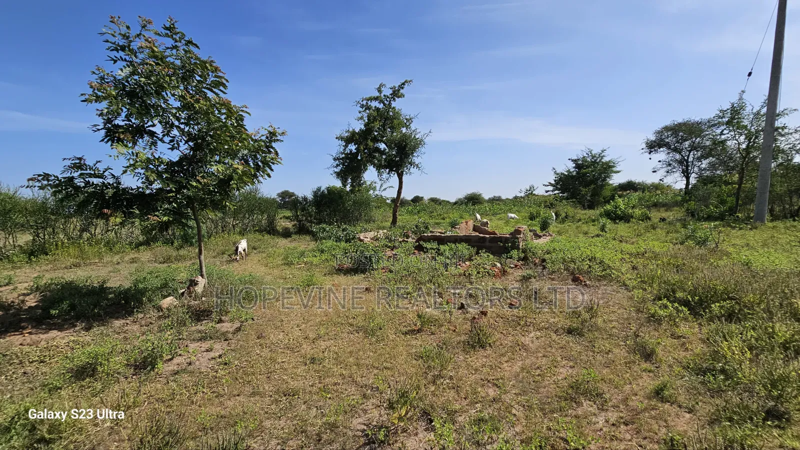 Affordable Plots for Sale in Matuu in Matuu