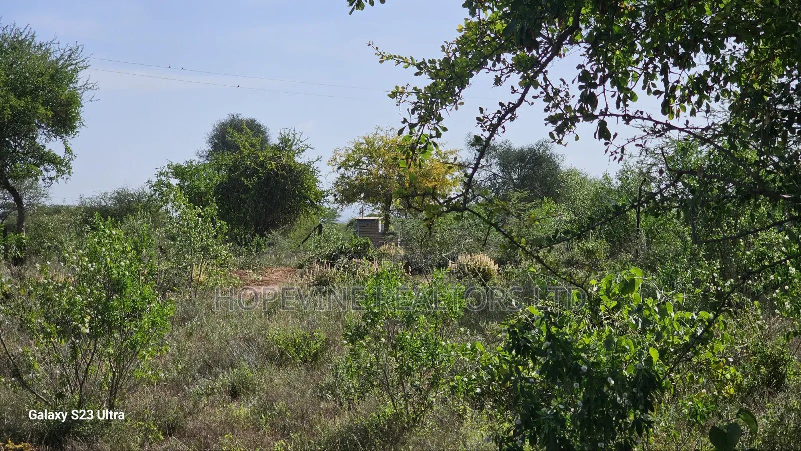 Affordable Plots for Sale in Matuu in Matuu