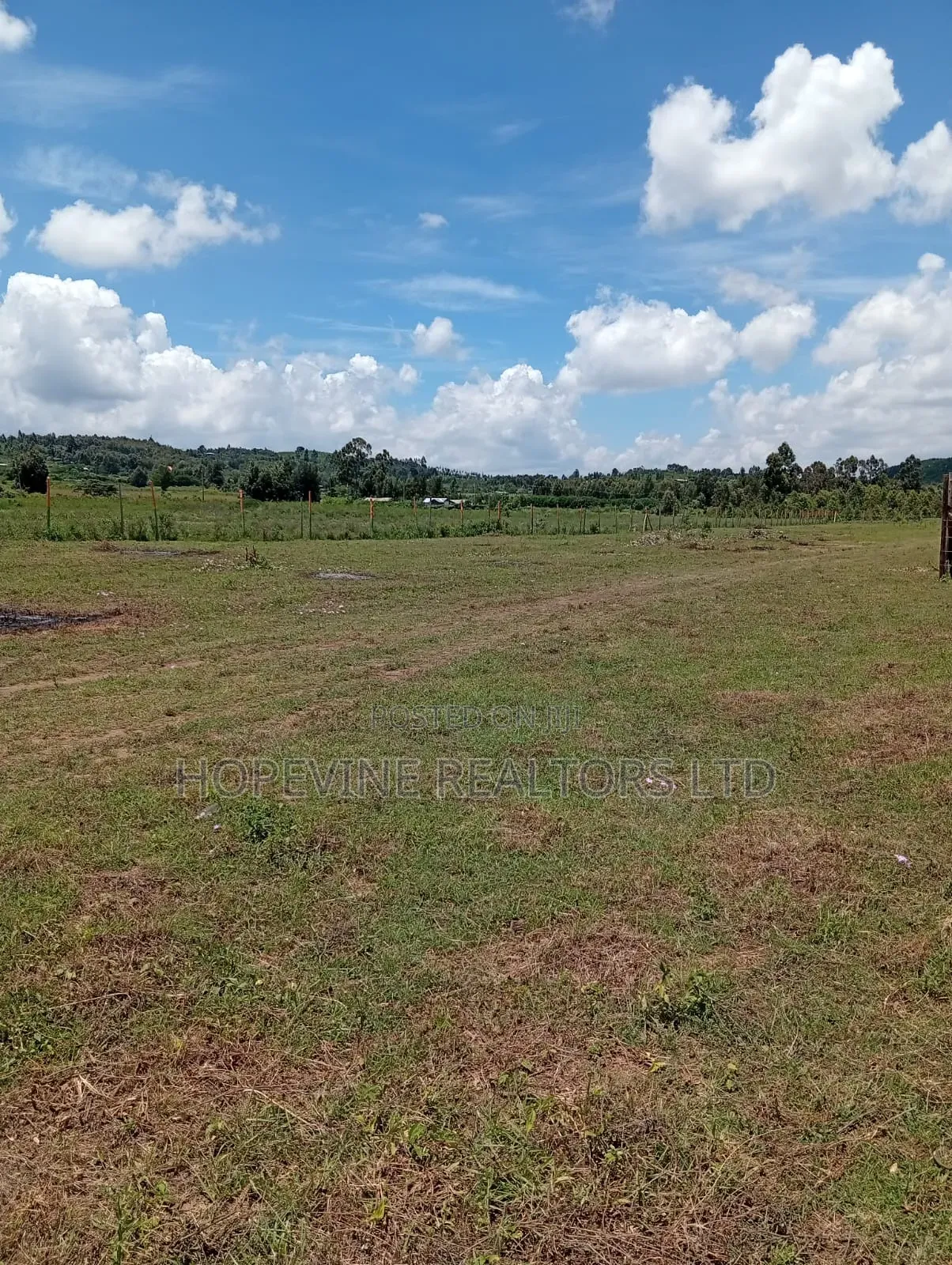 Affordable Plots for Sale in Kikuyu-Thigio in Thogoto