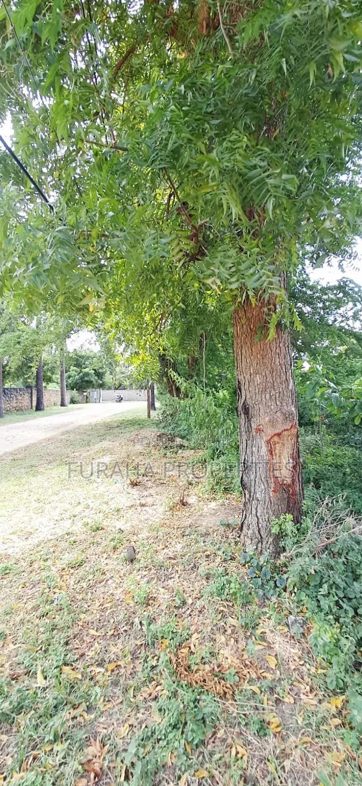 For Sale 1 Acre Plot at the Creek Mtwapa in Mtwapa