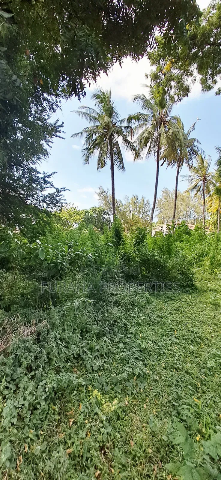 For Sale 1 Acre Plot at the Creek Mtwapa in Mtwapa