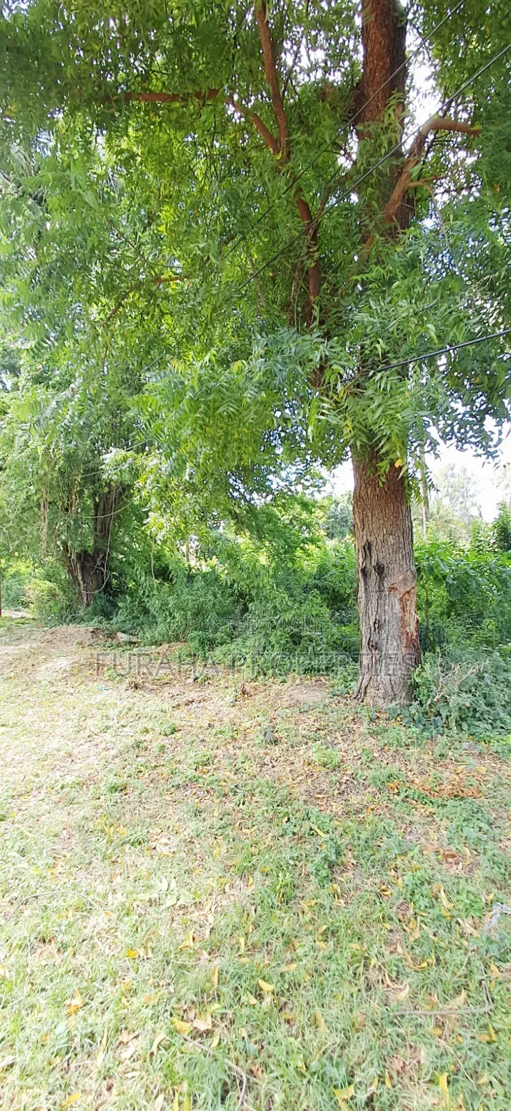 For Sale 1 Acre Plot at the Creek Mtwapa in Mtwapa