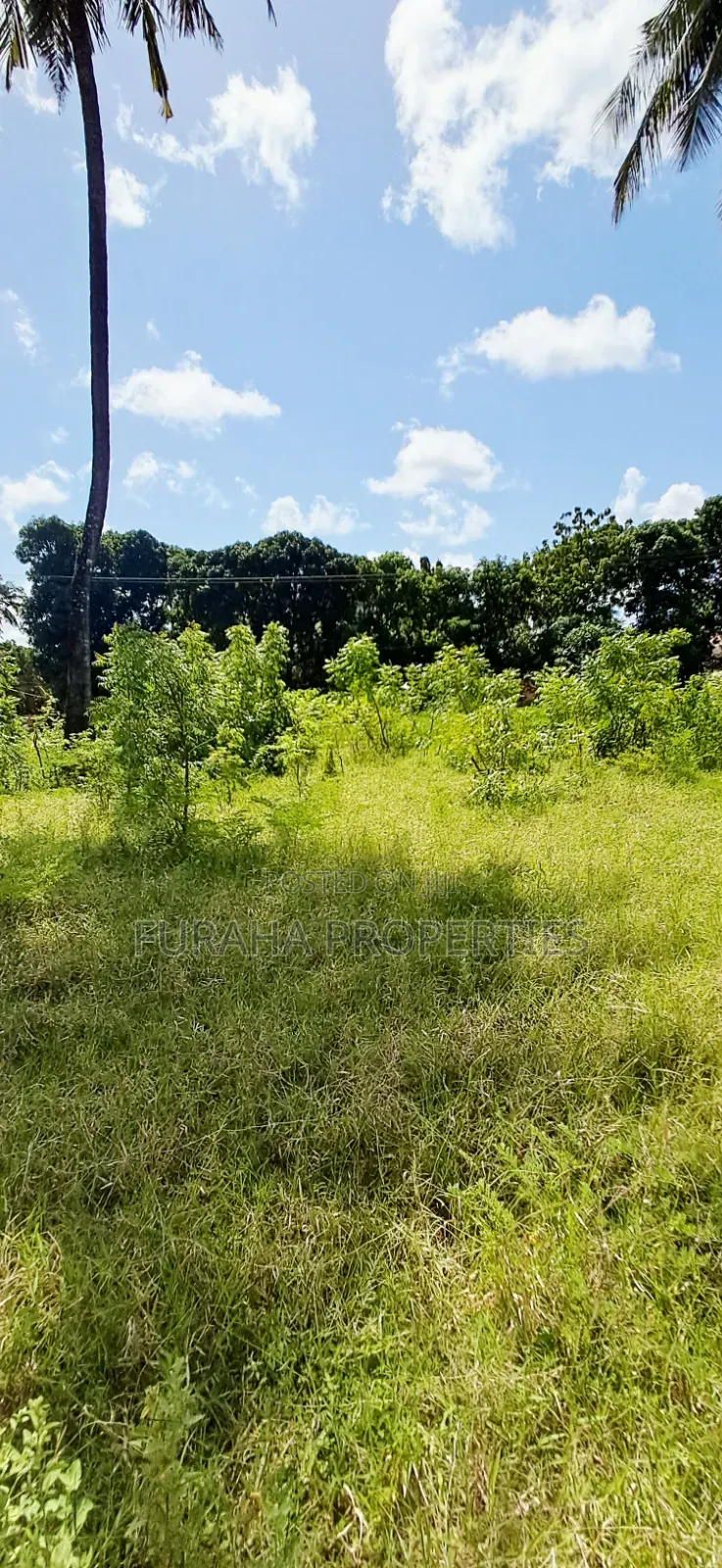 For Sale 1 Acre Plot at the Creek Mtwapa in Mtwapa