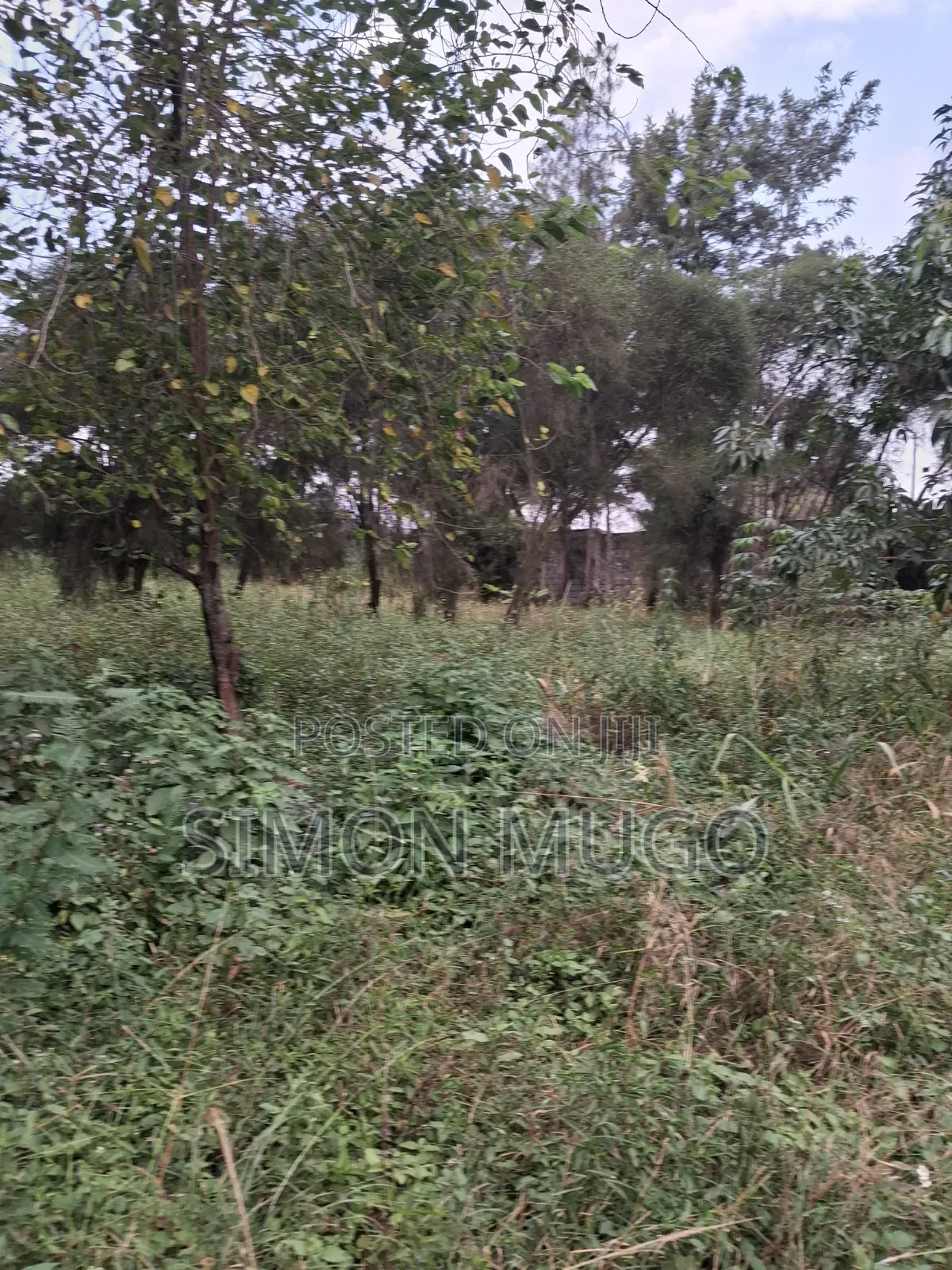 Kamiti Road Commercial 1/2 Acre to Let Fronting Main Kamiti Road in Kahawa Maziwa