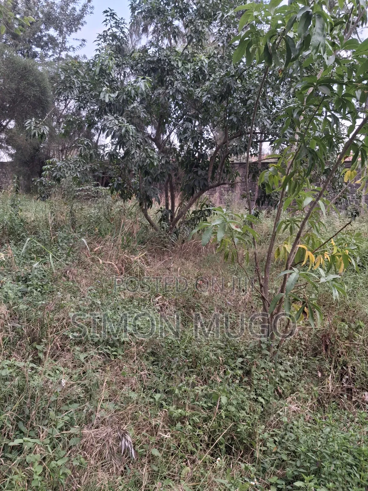 Kamiti Road Commercial 1/2 Acre to Let Fronting Main Kamiti Road in Kahawa Maziwa