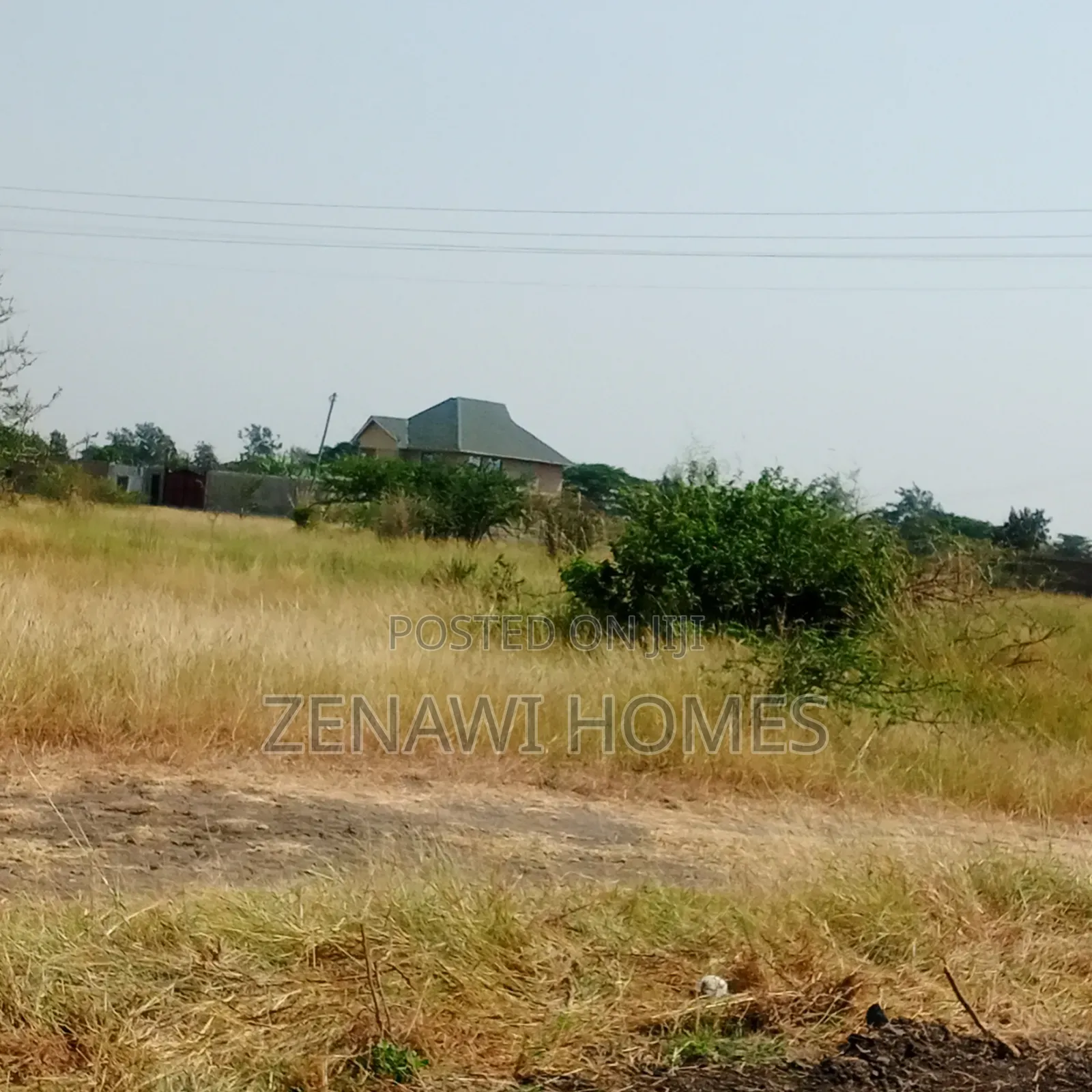 Jujafarm Royal Groove Estate Pm in Kalimoni