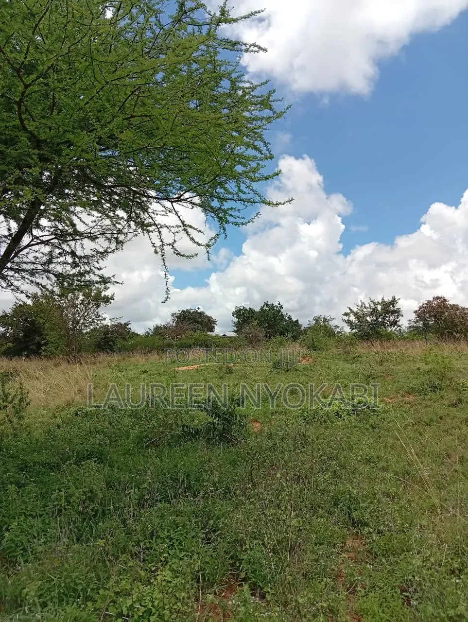 50*100 Plots for Sale in Matuu in Matuu