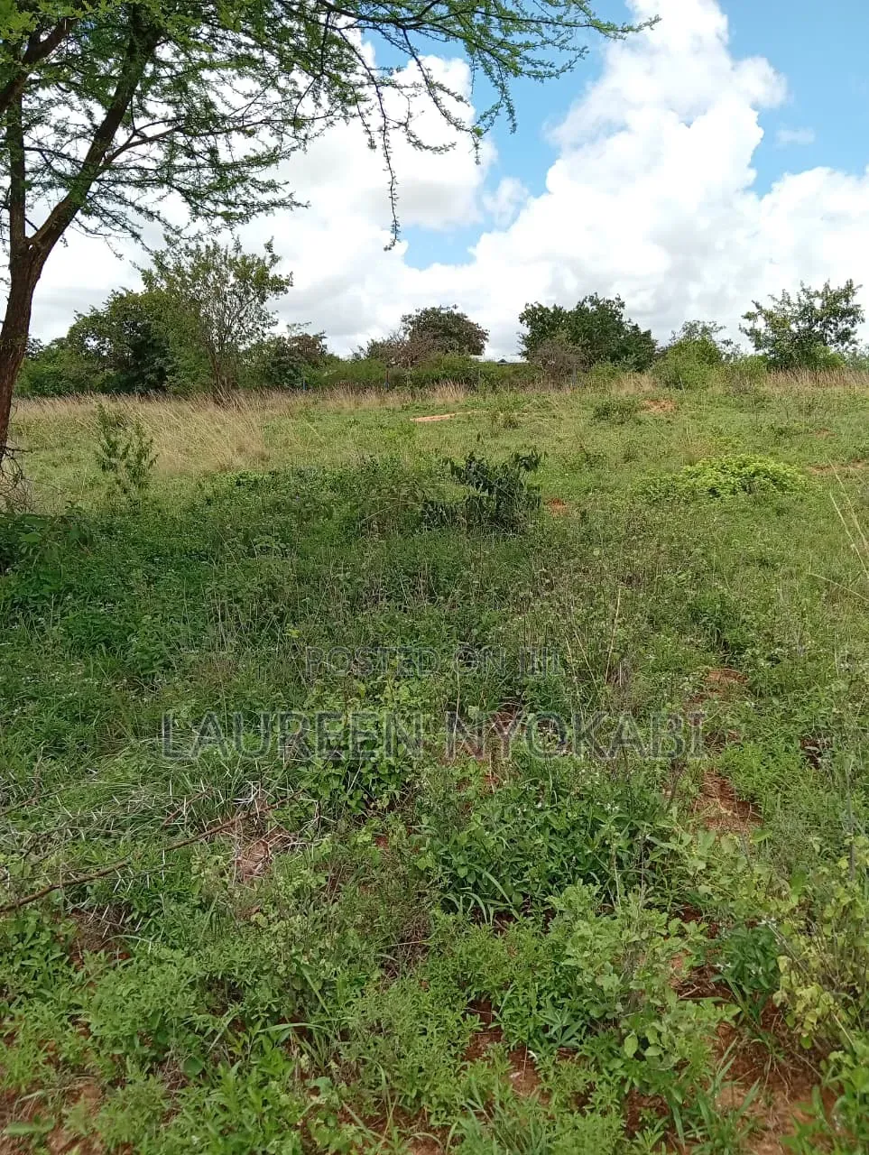 50*100 Plots for Sale in Matuu in Matuu