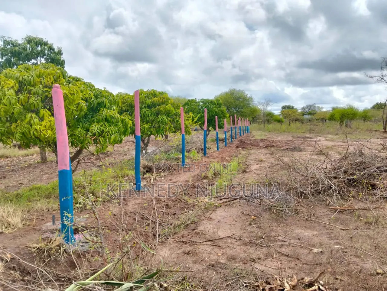 Shiners Gardens Matuu Phase 10 in Kivaa