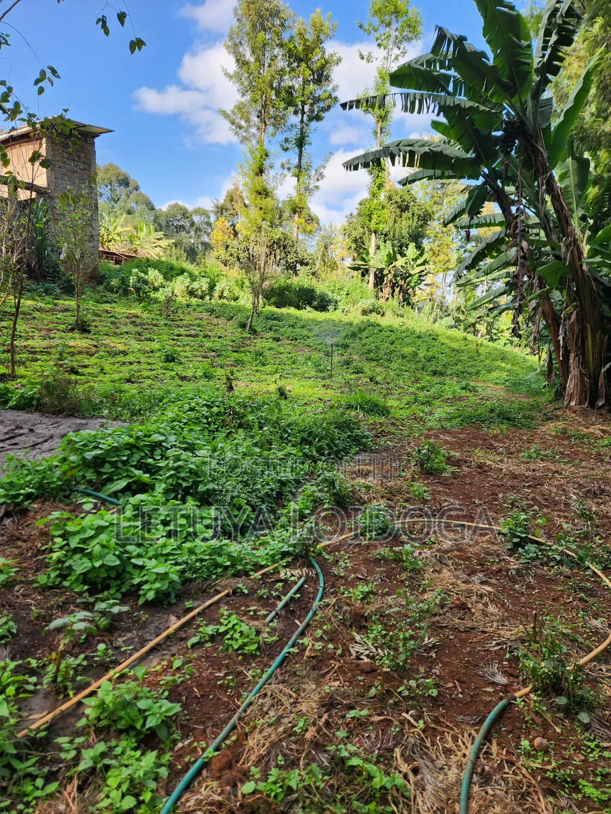 1 Acre Ngong-Kahara (Fronting Ngong-Kahara Road) in Matasia