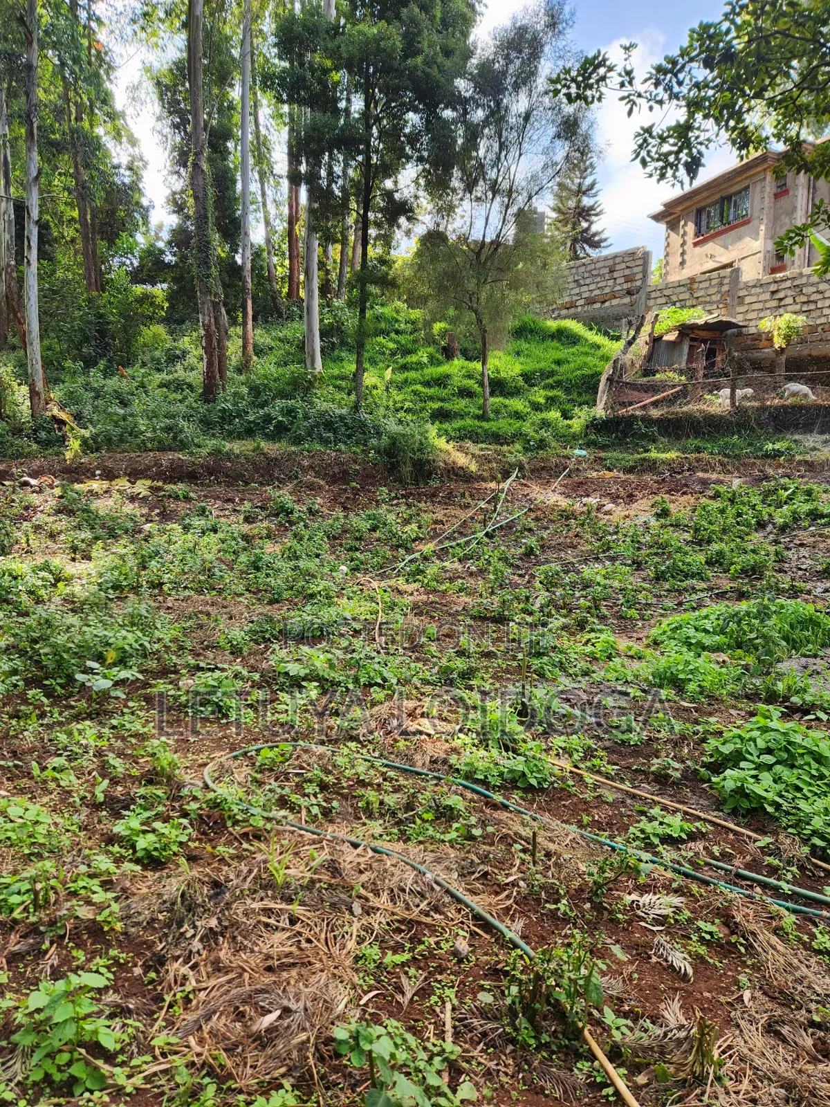 1 Acre Ngong-Kahara (Fronting Ngong-Kahara Road) in Matasia