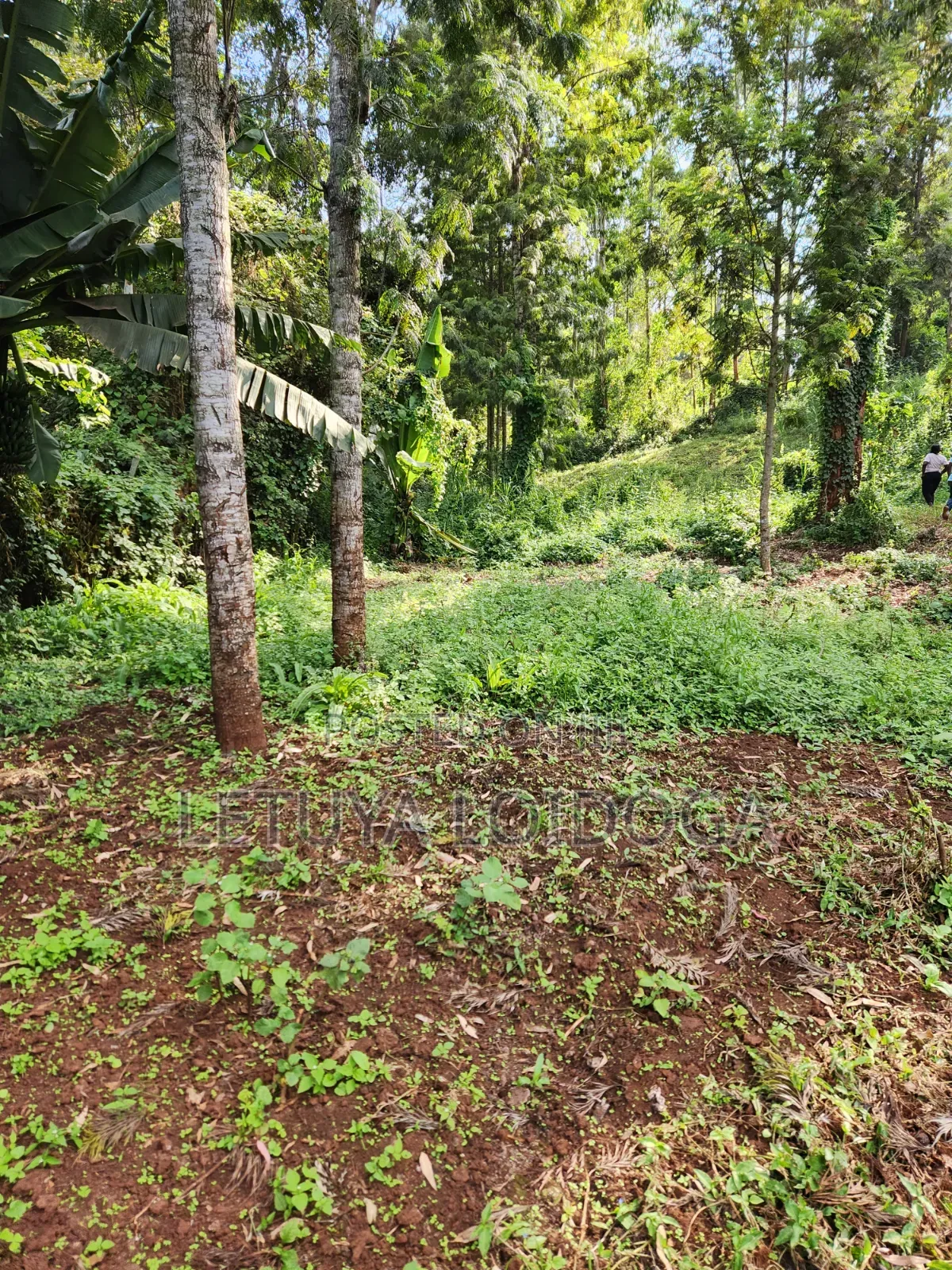 1 Acre Ngong-Kahara (Fronting Ngong-Kahara Road) in Matasia