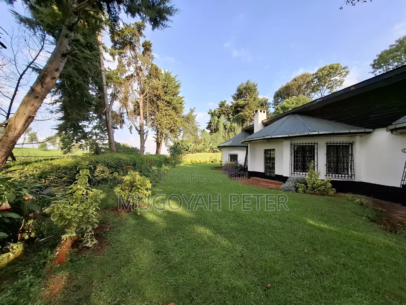 3bdrm Bungalow in Tigoni for rent in Tigoni