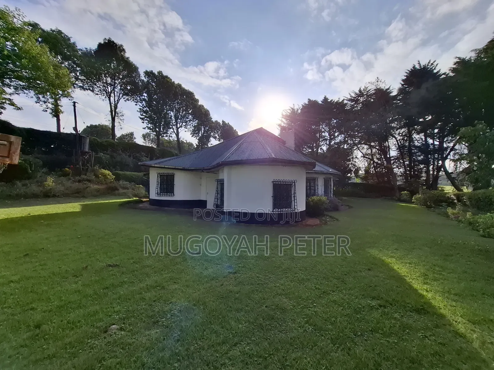 3bdrm Bungalow in Tigoni for rent in Tigoni