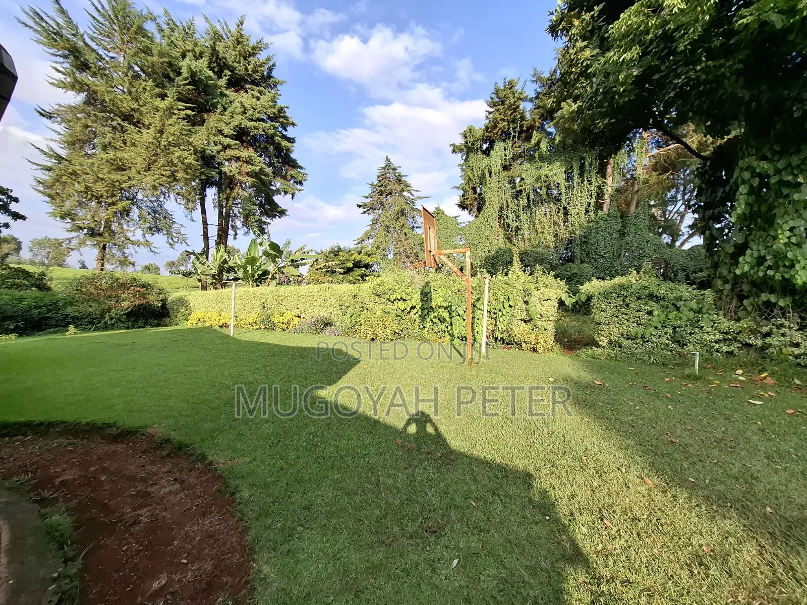 3bdrm Bungalow in Tigoni for rent in Tigoni