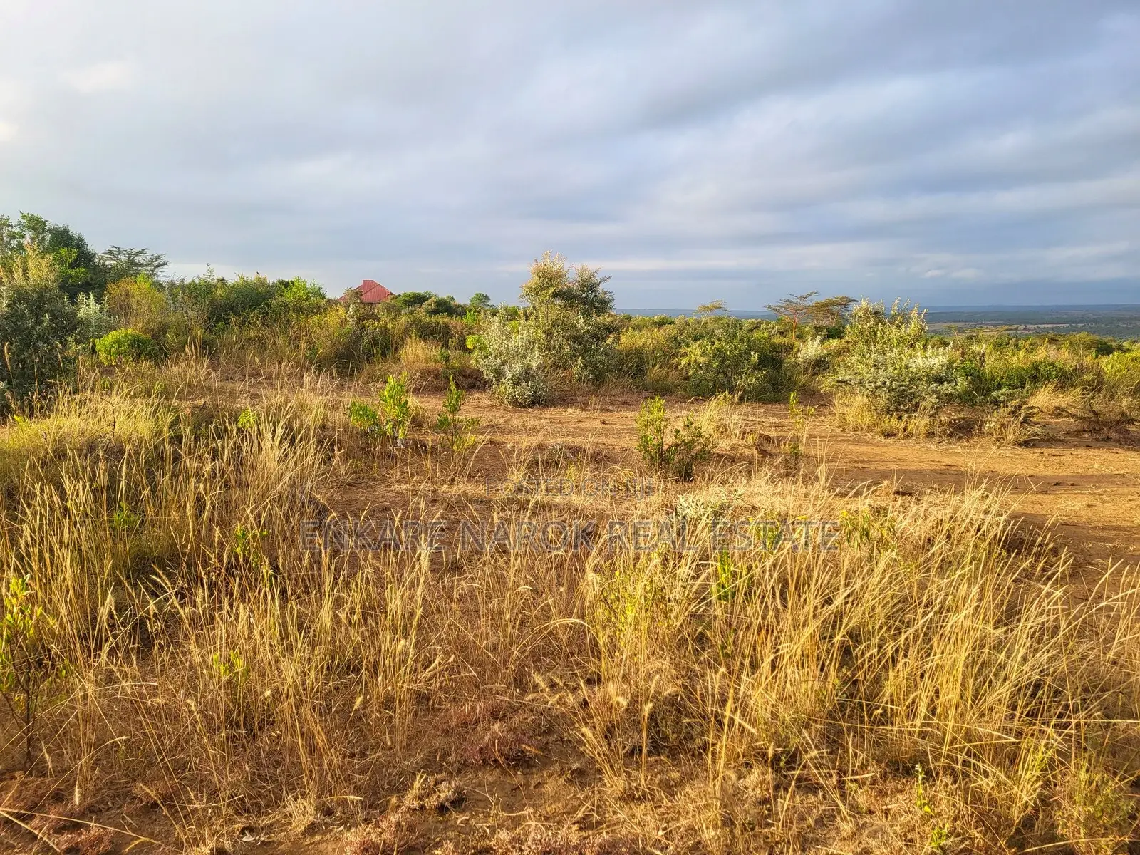 50x100 Plots for Sale in Narok Olepolos–| Near Maasai Mara College in Narok Town