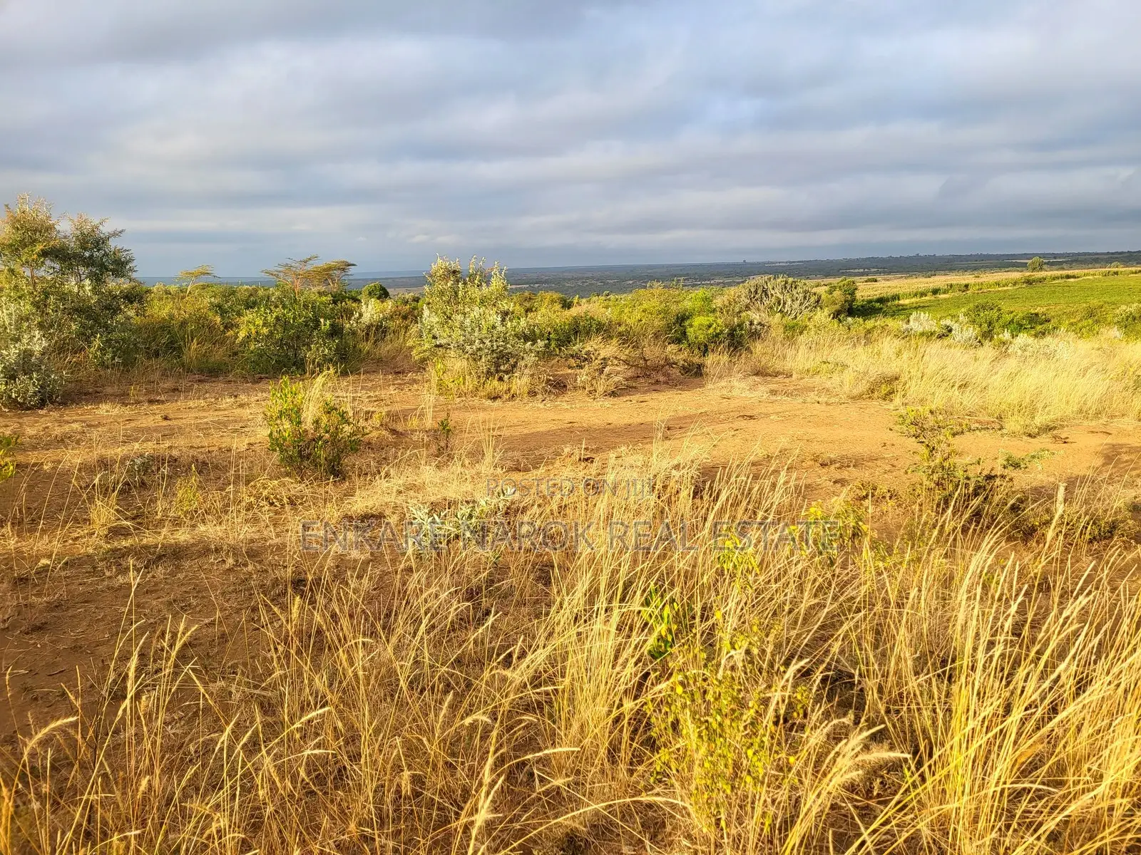 50x100 Plots for Sale in Narok Olepolos–| Near Maasai Mara College in Narok Town