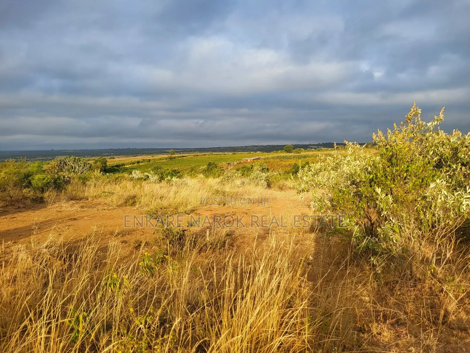 50x100 Plots for Sale in Narok Olepolos–| Near Maasai Mara College in Narok Town