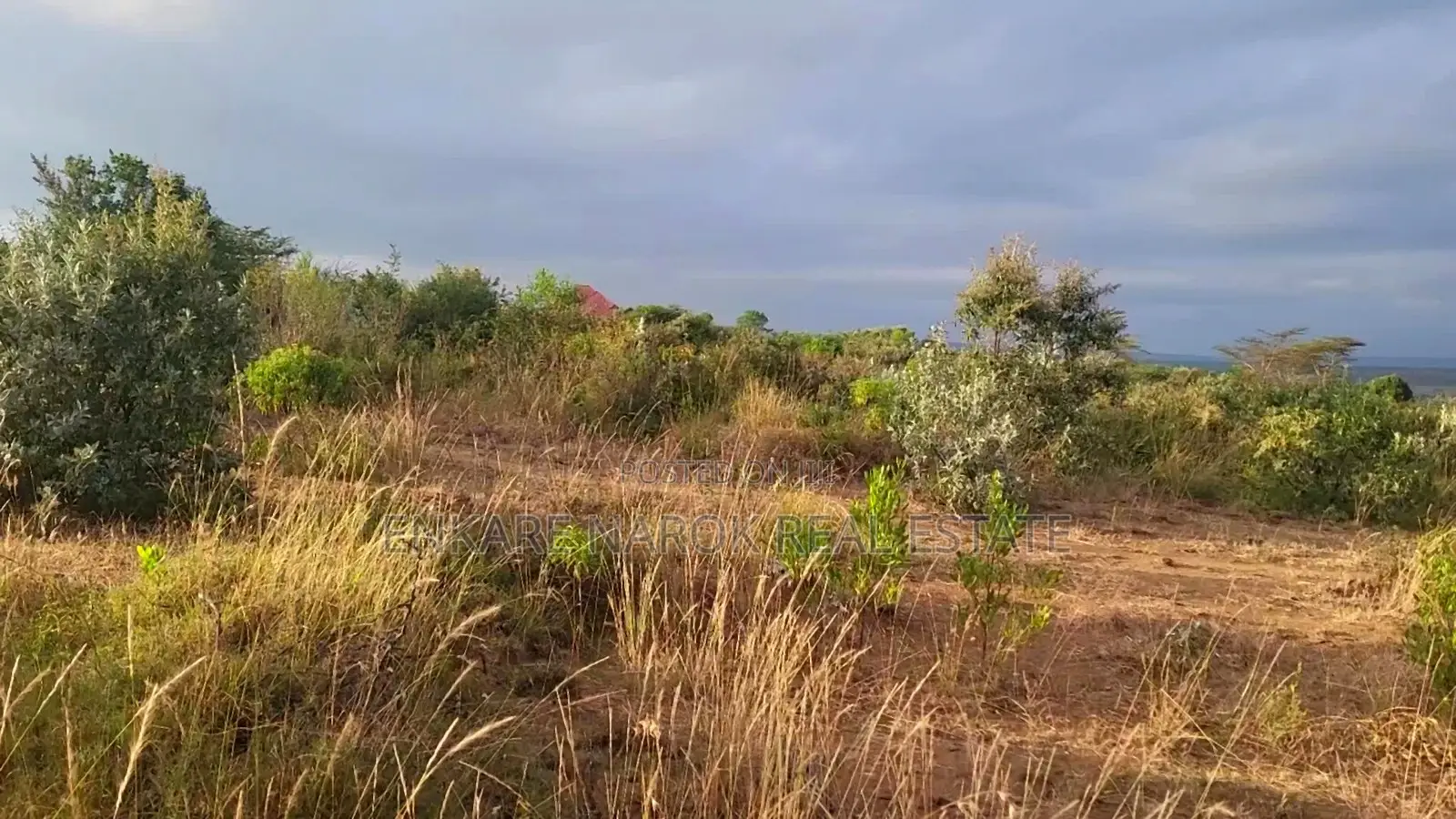 50x100 Plots for Sale in Narok Olepolos–| Near Maasai Mara College in Narok Town