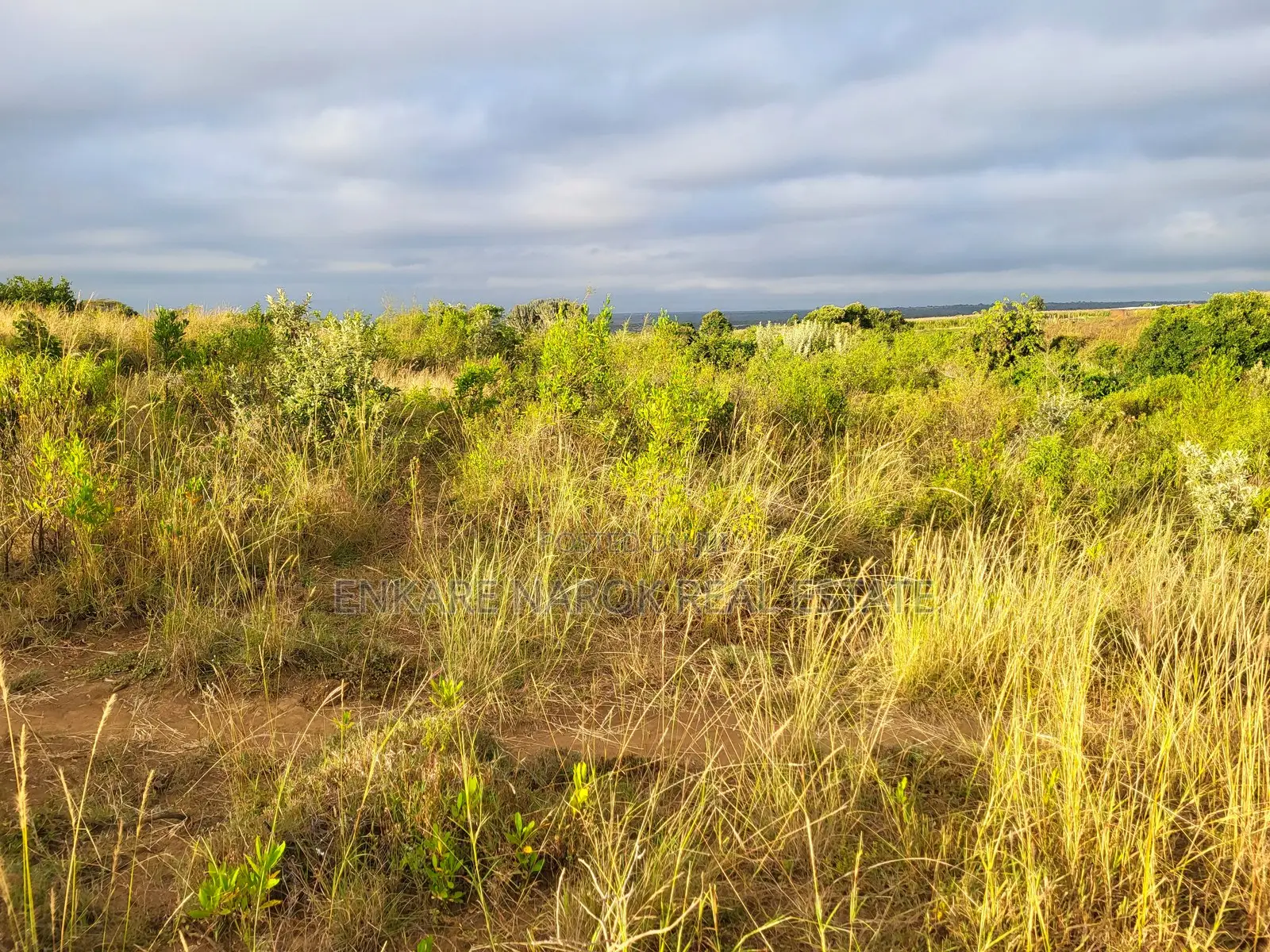 50x100 Plot for Sale in Narok Olepolos – Kes 300,000 in Narok Town