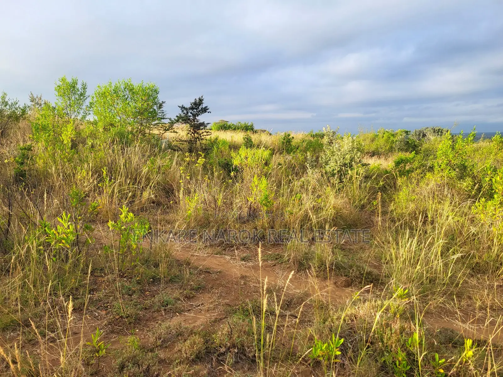 50x100 Plot for Sale in Narok Olepolos – Kes 300,000 in Narok Town