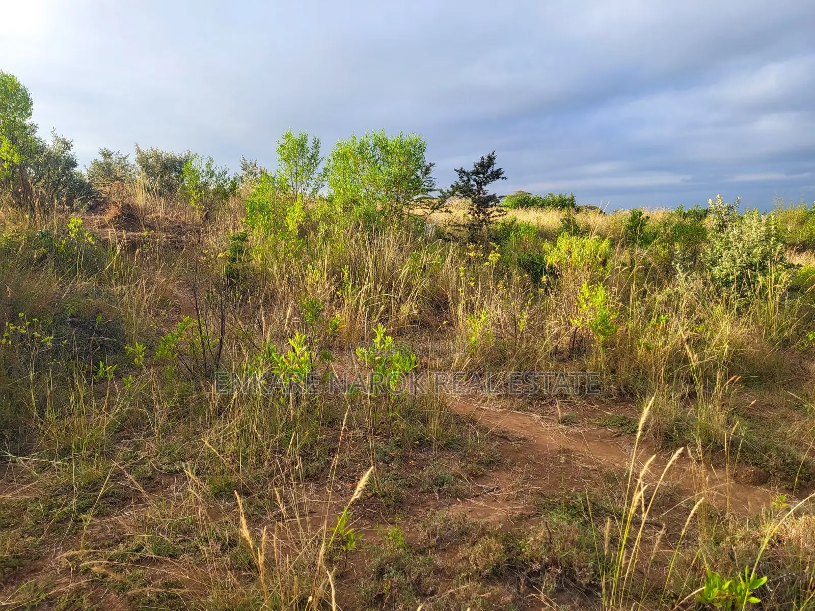50x100 Plot for Sale in Narok Olepolos – Kes 300,000 in Narok Town