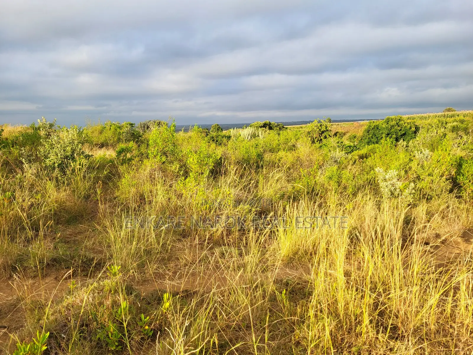 50x100 Plot for Sale in Narok Olepolos – Kes 300,000 in Narok Town