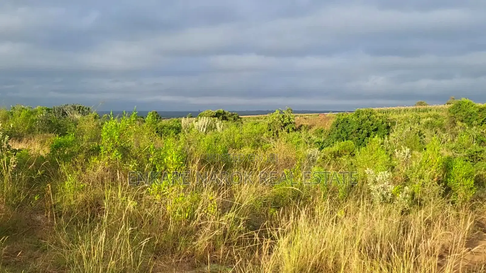 50x100 Plot for Sale in Narok Olepolos – Kes 300,000 in Narok Town