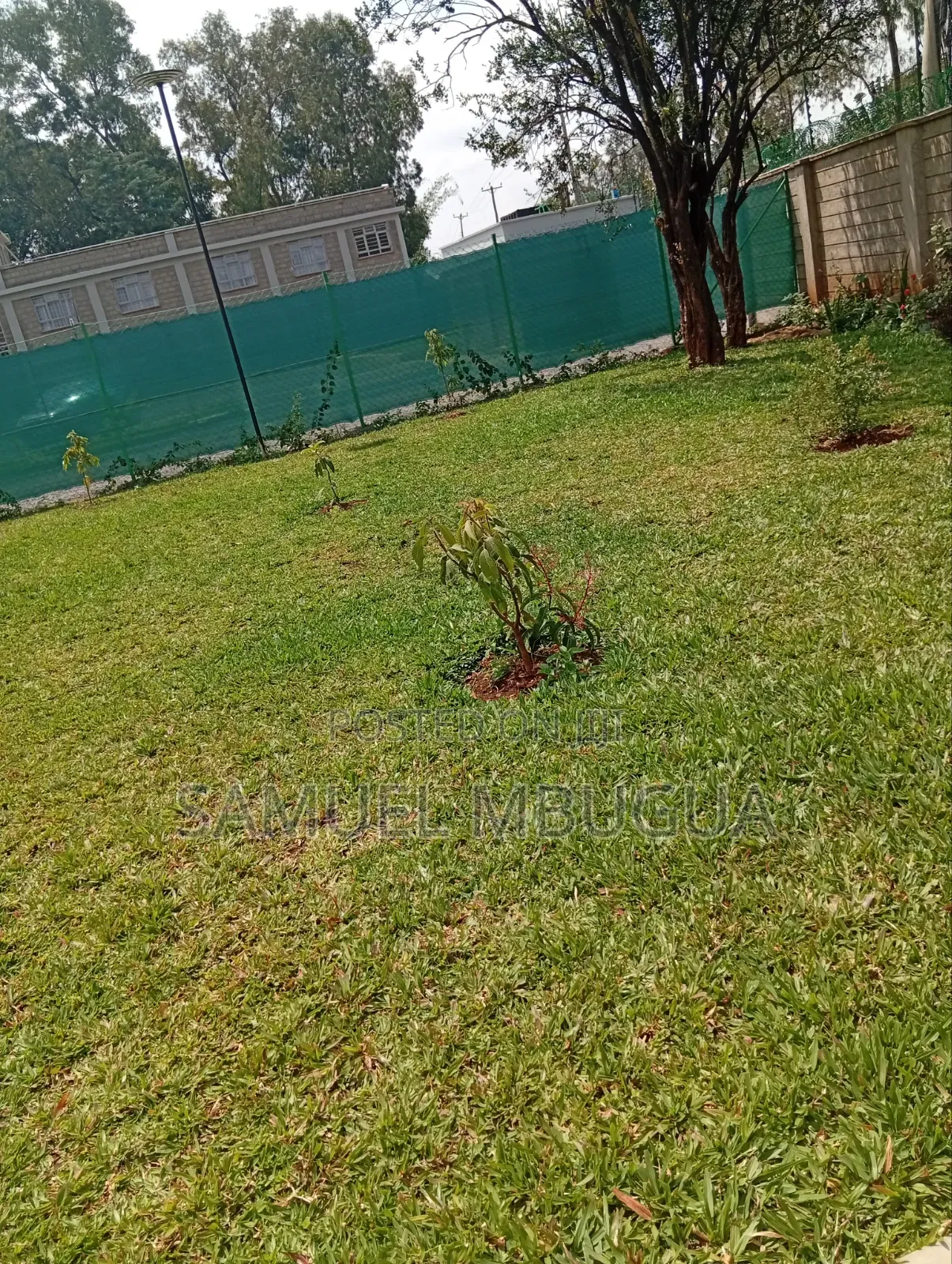 5bdrm House in Karen for rent in Karen