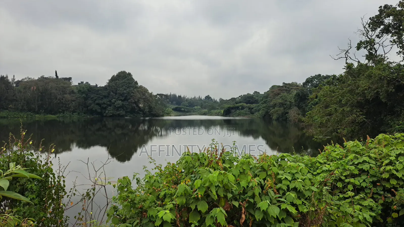 Premium1/4 Acre Plots for Sale at Migaa in Riabai