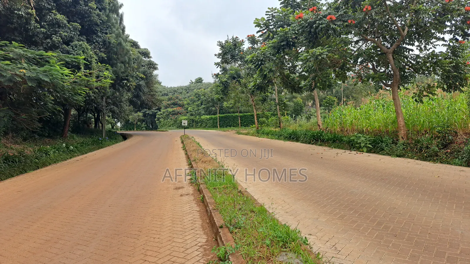 Premium1/4 Acre Plots for Sale at Migaa in Riabai
