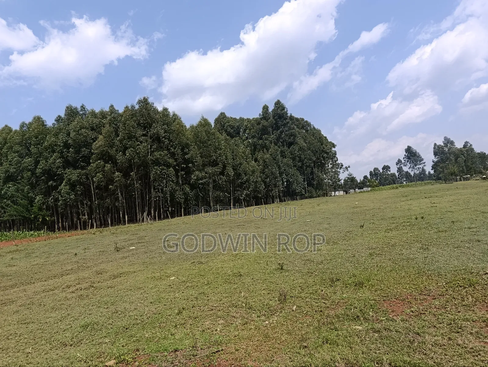 1⁄8 Plots for Sale in Kabongo Kapsaret Eldoret. in Ngeria
